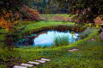 A small pond on the home plot
