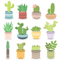 Cactus nature green succulent tropical plant vector illustration.