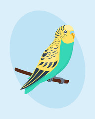 Cartoon tropical parrot wild animal bird vector illustration wildlife feather zoo color nature vivid.