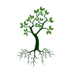 Obraz premium Green Tree with Roots. Vector Illustration.