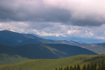 Fototapeta na wymiar Spring landscape in the Carpathian mountains