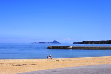 Fototapeta premium 長崎鼻の菜の花