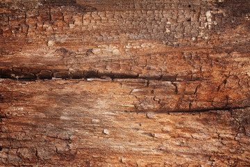 Texture and background of old wood panel