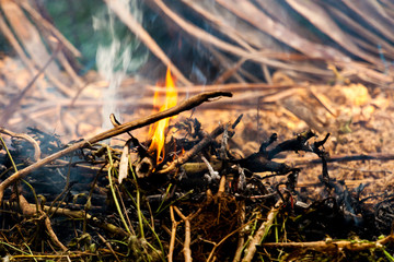 Close up of dry grass and bush cought fire and smoke coming out