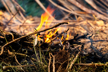 Close up of dry grass and bush cought fire and smoke coming out