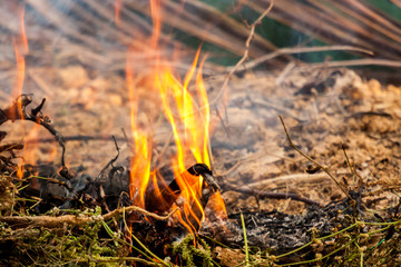 Close up of dry grass and bush cought fire and smoke coming out