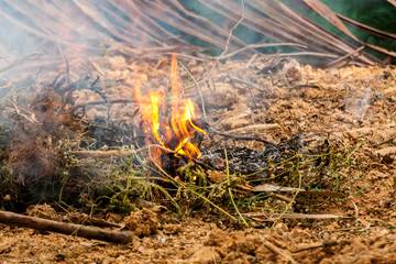 Close up of dry grass and bush cought fire and smoke coming out