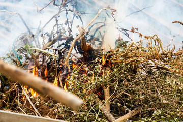 Close up of dry grass and bush cought fire and smoke coming out