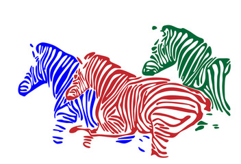colorful vector zebra silhouette