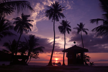 Beautiful coconut beach sunrise with purple sky in Thailand.  - Powered by Adobe