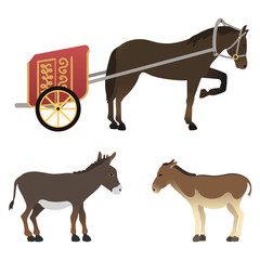 Horse pony stallion isolated different breeds color farm equestrian animal characters vector illustration.