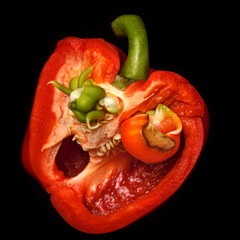Scary face of pepper