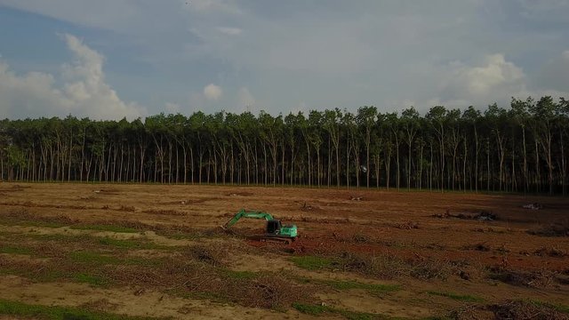 Deforestation. Logging. Aerial drone view
