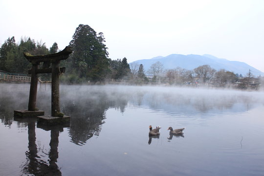 「金鱗湖」の画像 952 件の Stock 写真、ベクターおよびビデオ Adobe Stock