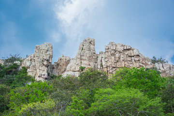Fototapeta na wymiar cliff rock green tree and sky blue landscape