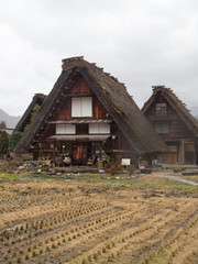 Fototapeta na wymiar Traditional and Historical Japanese village Shirakawago, Japan - December 22, 2016 : The view of Traditional Japanese village Shirakawago in autumn season