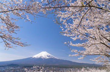 日本の絶景　富士山と満開の桜　 新倉山浅間公園　2017年4月