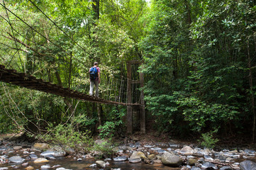 nature trail,path with wooden bridge in deep forest (National Park, Thailan)