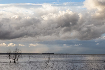 A lake with some trees and branches coming out of water, beneath a moody sky, with big and low clouds