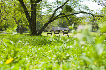 公園のベンチ