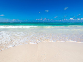tropical sea