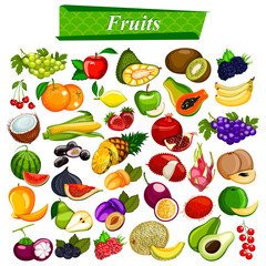 Fresh and nutritious fruit set including apple, orange, grapes, coconut, berry