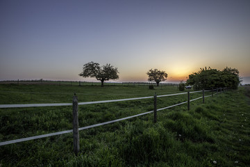 Fototapeta premium Pferdekoppel im Sonnenaufgang