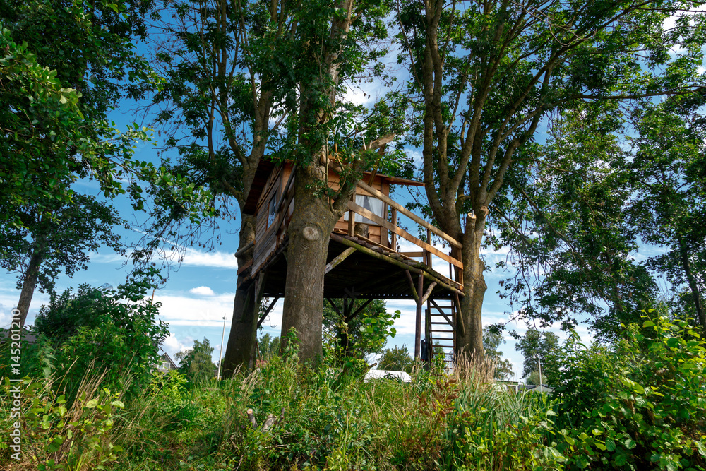 Sticker Wooden House on Tree