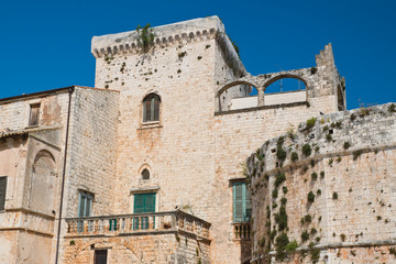 Fototapeta na wymiar Castle of Conversano. Puglia. Italy. 
