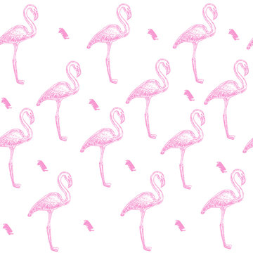 pink flamingo seamless pattern