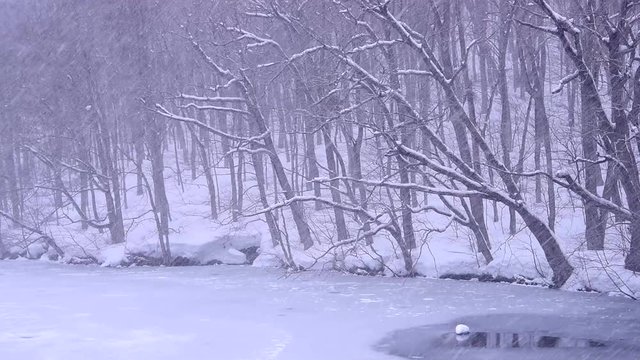 蔦沼の雪景色