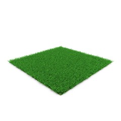 Zoysia Grass on white. 3D illustration