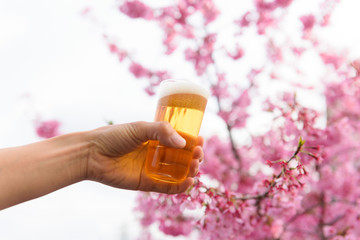 beer and cherry tree