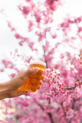 beer and cherry tree