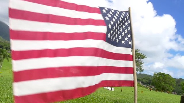 clip of the American flag at Military Memorial Cemetery, Veterans Day