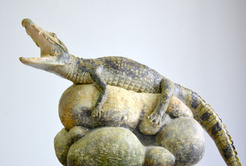 Small crocodile with open mouth on stones