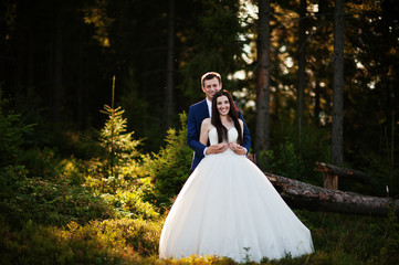 Lovely wedding couple on sunset at Carpathian mountains.