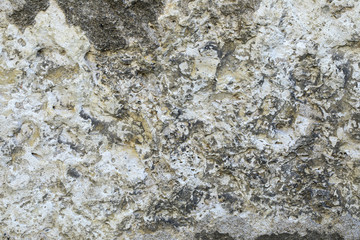 Obraz premium texture mur de pierre 