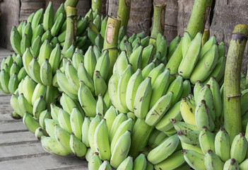 bananas harvesting to market in close up