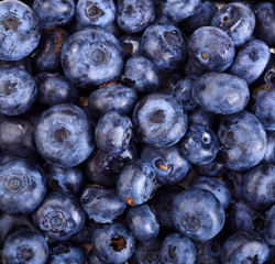 ripe blueberries