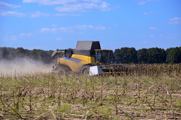 UKRAINE, 02, SEPTEMBER, 2016, harvester for harvesting sunflower crop, UKRAINE, 02, SEPTEMBER, 2016