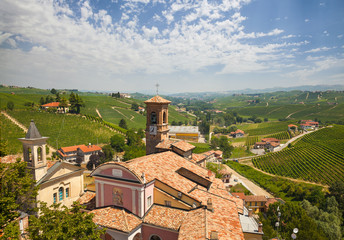 The Vineyards Of Barolo. Italy