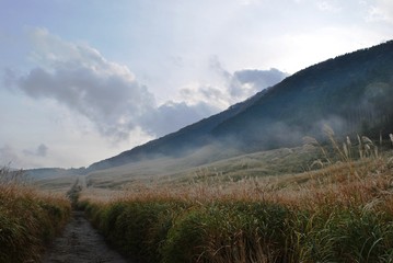 草原