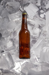 Bottles of beer on ice