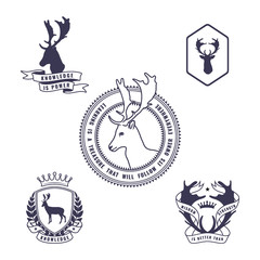 Vintage set of a labels, badges and decor elements. Vector illustration for your design.