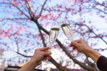Champagne cherry blossoms