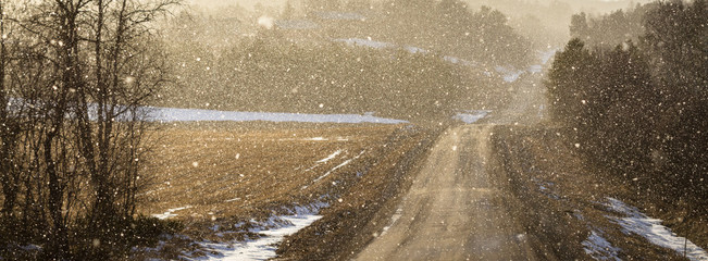 Light shines through snowy weather on a curved country road, backlit snow particles, panorama