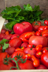 Assortment of different size of tomatoes in a wooden box