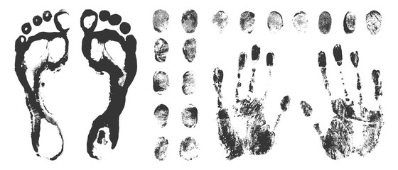 Set of Black Fingerprints on White Background