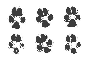 Fototapeta premium Set of Black Traces of Animals
